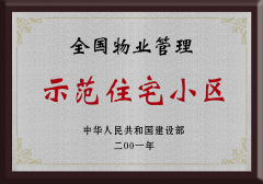 美彩国际(中国)有限公司